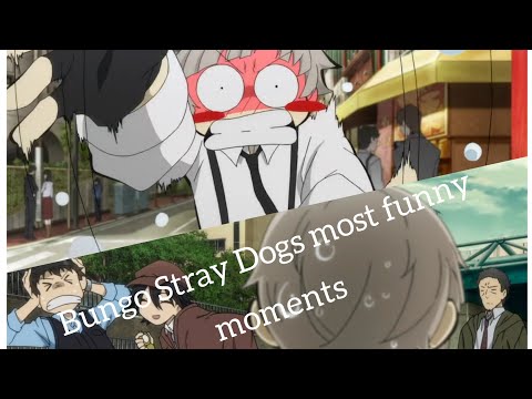 Hilarious Bungou Stray Dogs English Dub Moments That Will Make You Laugh Nonstop!