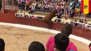 Un taureau se fâche et saute sur des Espagnols