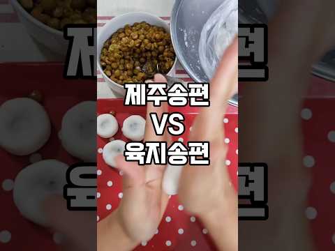 육지것이 만들어 본 제주송편🥟🥟 추석 송편 만들기#Shorts