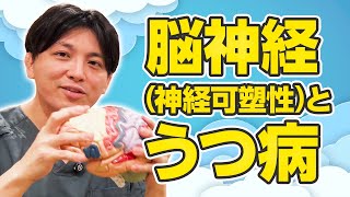 うつ病のメカニズムを脳の仕組みから解説