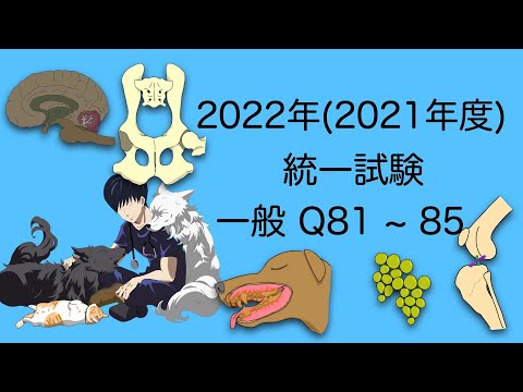 2022一般Q81~85 愛玩動物看護師国家試験対策