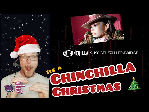 A CHINCHILLA CHRISTMAS TREAT! | CHINCHILLA, Isobel Waller-Bridge - Do You See Me Now (ADHD Reaction)