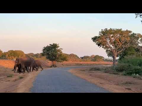 Bundala National Park