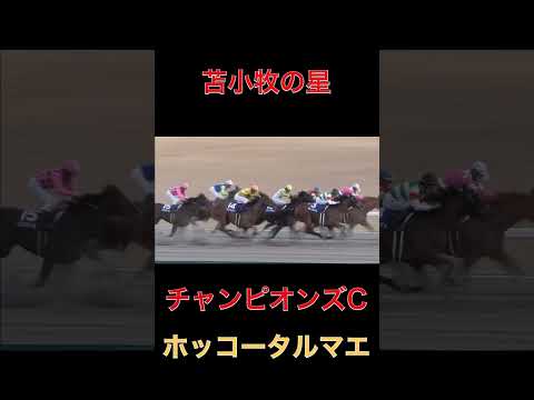 苫小牧の星ホッコータルマエ【チャンピオンズC】#競馬#チャンピオンズカップ