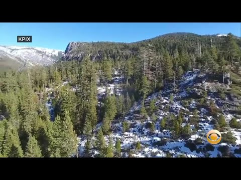 Sierra Nevada Snowpack Could Largely Disappear By 2040s As Climate Warms, Scientists Warn