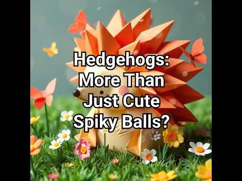 5 Mind-Blowing Hedgehog Facts You’ve Never Heard Before