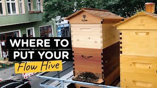 Where to put your bee hive - TheBeekeeper.org