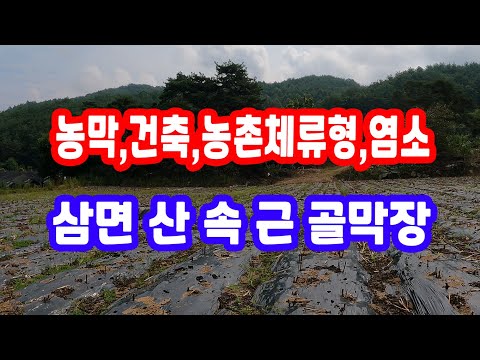 경북땅 산 촌 땅 밭, 염소 농막 건축 농촌 체류형 토지, 삼 면 산 속 근 골막장 근접 주택 없는 산촌 시골 산 골 땅 숲속 산속 매물 시골땅