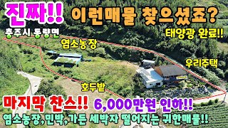 663. 가격포기!! 염소농장 펜션 등 모두 가능한 찾기힘든 전원주택 충주시 동량면 충주호 영구조망 충주전원주택 제천전원주택 제천부동산 충주부동산 충주토지매매 염소축사