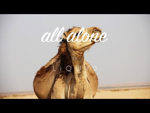 LiQWYD - All alone (Free download)