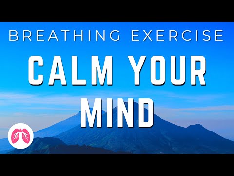 Powerful Deep Breathing Exercises | Nose Only | Improve your mood | TAKE A DEEP BREATH