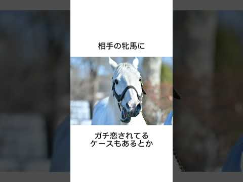 驚異的な受胎率のゴールドシップ！　　#競馬 #馬 #騎手 #競艇 #競輪#雑学