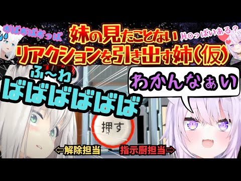 "おかゆんの苦手なゲーム持ってきた！"姉妹(仮)の絆が試される爆弾処理ゲームで焦る妹フブにゃとのんびり姉おかゆんがかわいすぎるドタバタ配信【白上フブキ／猫又おかゆ／にゃんぐこーん／ホロライブ】