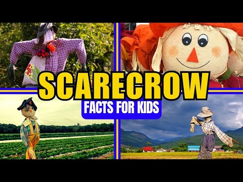 Did You Know These Scarecrow Facts? (For Kids)