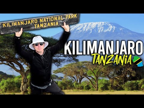 Climbing Mount Kilimanjaro｜Tanzania 🇹🇿