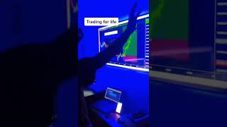 Trading For Life #trading #trader #professionaltrader #viral #shorts