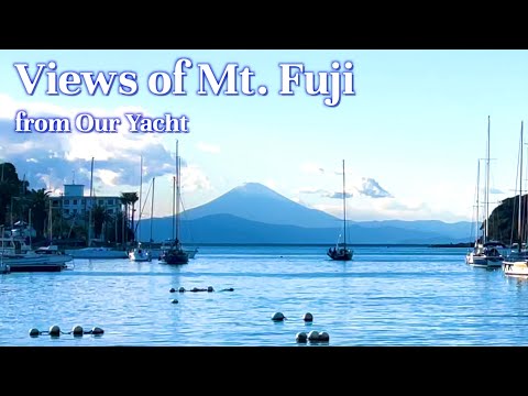 Views of Mt. Fuji from our Yacht  私たちの船から見える富士山🗻