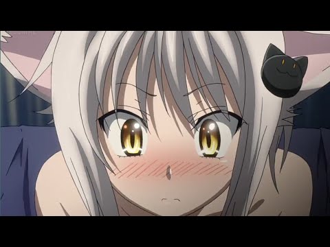 Koneko's Secret Art of Healing "TECHNIQUE" ( ͡° ͜ʖ ͡°) | Highschool DXD (S3)