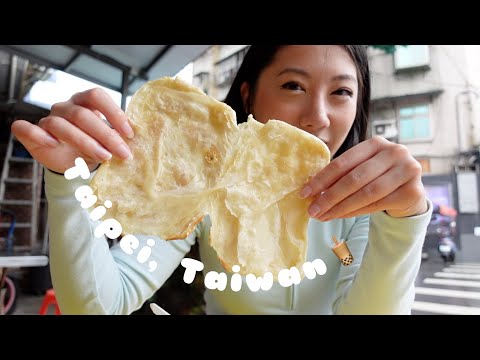 48 hours in TAIWAN | best local food, hiking elephant mountain, shrimp fishing & street markets