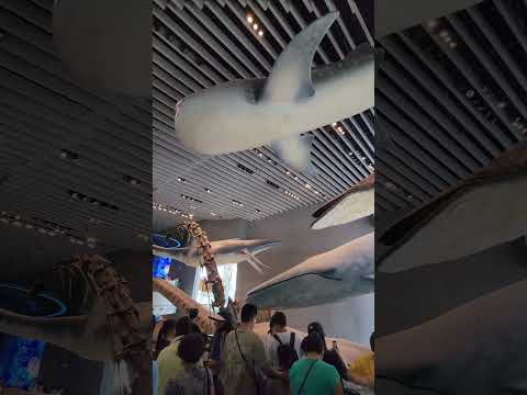 Shanghai Natural History Museum  พิพิธภัณฑ์ไดโนเสาร์ ที่เซี่ยงไฮ้ #Shanghainaturalhistorymuseum