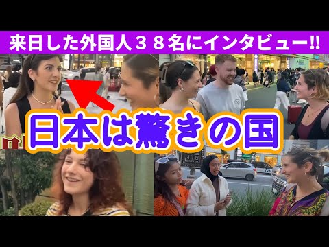 【総集編】来日した外国人３８名にインタビューしたら日本が人気な理由がはっきりわかった‼️#xmas #japan