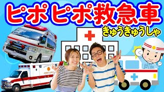 【ほんもの！】ピポピポ救急車♪うたのママパパ おかあさんといっしょ にこにこぷん はたらくくるま