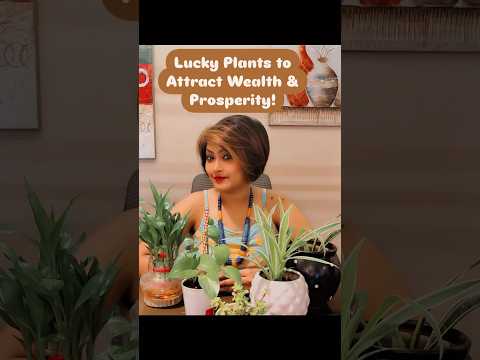 Plants for money and prosperity #plants #money