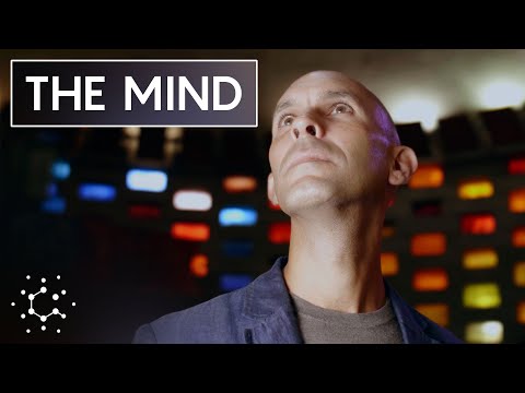 The Scientific Problem of Consciousness