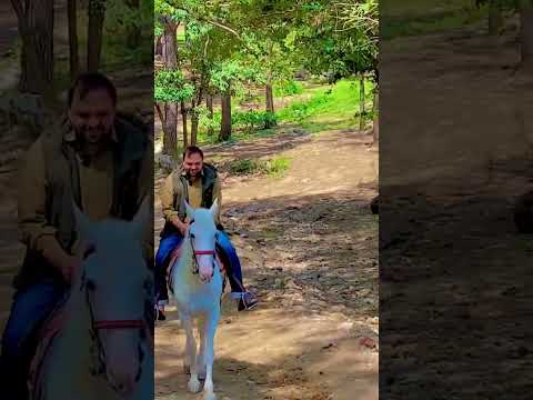 Horse ridding #horse #horseriding #haider #trending #trendingshorts #viral #foryou #explore #viral