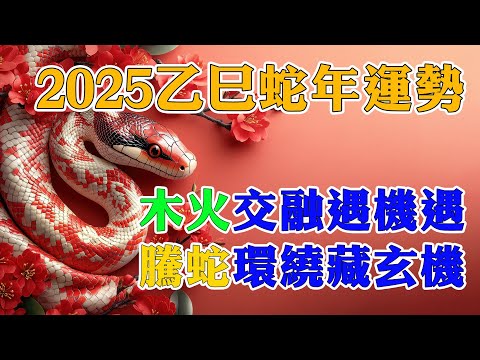 2025乙巳年運勢大揭秘：木火交融開啟機遇之門，騰蛇環繞暗藏何種玄機？【佛語】#運勢 #風水 #佛教 #生肖 #佛語