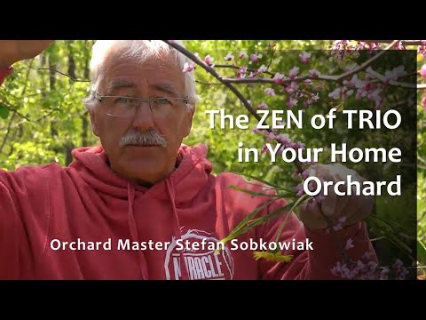 How to Build Your Home Permaculture Orchard Using the SECRETS of TRIOS