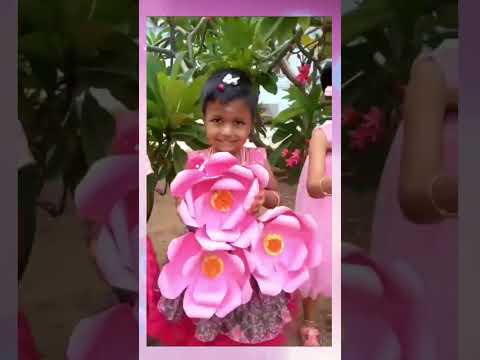 VEVEAHAM KIDZ SCHOOL - Pink day