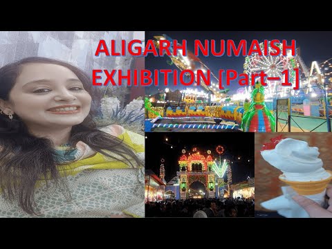 Aligarh Exhibition (Part 1) | अलीगढ नुमाइश | Aligarh Numaish #aligarh #aligarhexhibition #fun #mela