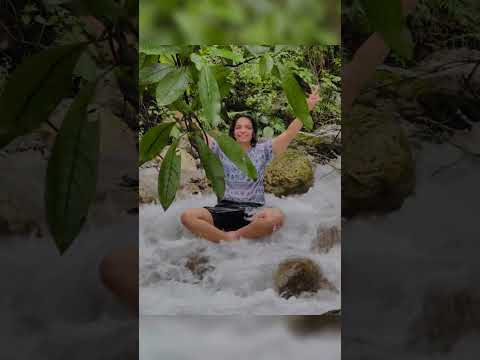 Excursion to secret waterfall by Patanjali Yoga Foundation Rishikesh India!