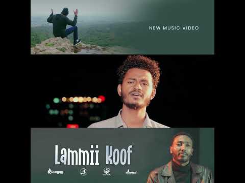 Lammii koof