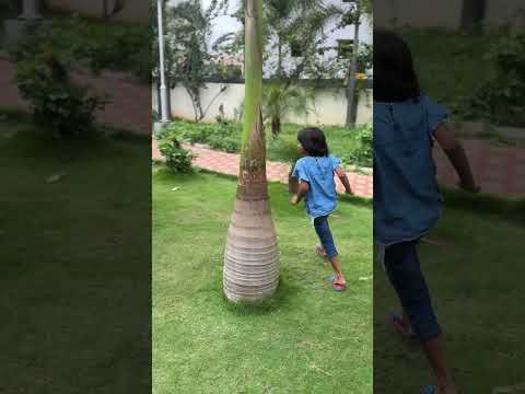 Adithi Walking Reverse Fun Playing #shorts #ytshorts #youtubeshorts