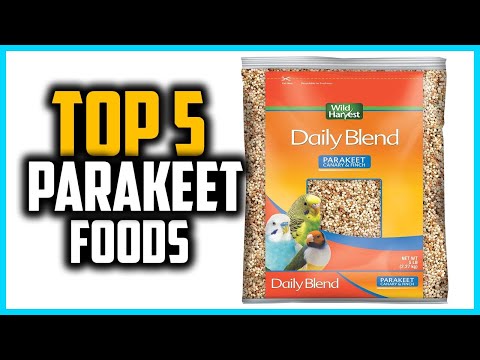 ✅Top 5 Best Parakeet Foods in 2025