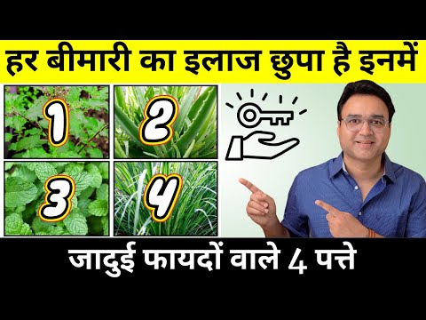 हर रोग का इलाज है इन 4 पत्तों में - घर पे ज़रूर लगाएं | 4 Best Medicinal Leaves | Healthy Life