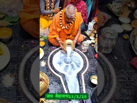 Baidyanath Dham Jyotirling 🙏   #harharmahadev #viralvideo #shorts  #trendingshorts #video #trending