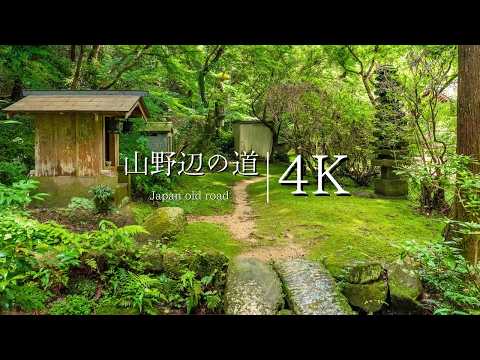 [Japan's oldest road] Mountainside road | Miwa Station → Walk along Ishigami-kami - JAPAN in 4K