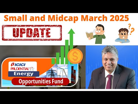 Mid and Small Cap fund Update March 2025 | Sankaran Naren