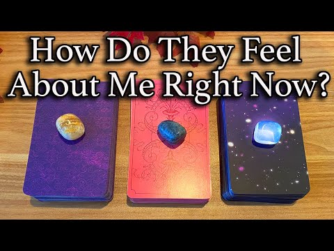 💕WHAT DOES HE/SHE THINK AND FEEL ABOUT ME RIGHT NOW?💕| 🔮Pick A Card🔮 | Love Tarot Reading (Timeless)