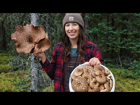 Canned Mushrooms & Grilled Grouse Kabobs | Summer Harvest