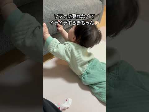 つかまり立ちの練習中でイライラする赤ちゃん👶🏻#赤ちゃん #赤ちゃんのいる生活 #日韓ハーフ #かわいい #つかまり立ち #生後7ヶ月#혼혈아기 #아기영상