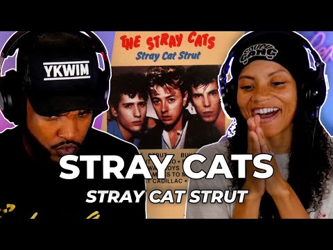 WHAT IS THIS? 🎵 Stray Cats - Stray Cat Strut REACTION