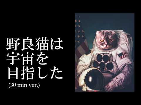 [30 min BGM] The stray cat aimed for space / Sharou [Official]