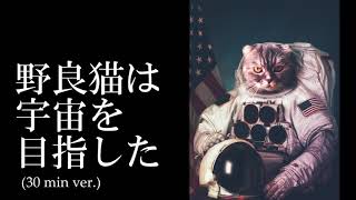 【30分耐久フリーBGM】野良猫は宇宙を目指した (The stray cat aimed for space) / しゃろう【公式】