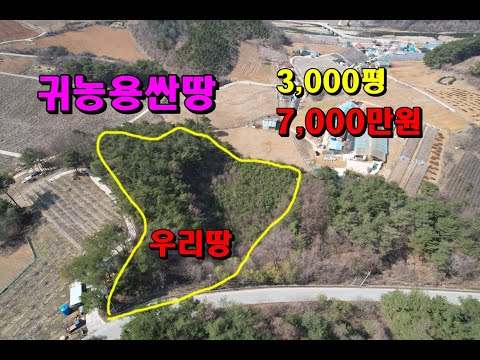 귀농하기 좋은 전+토지임야 3,000평7,000만원싼땅/정선부동산매매/정선토지매매