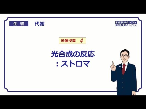 【高校生物】　代謝4　光合成の反応：ストロマ（１９分）