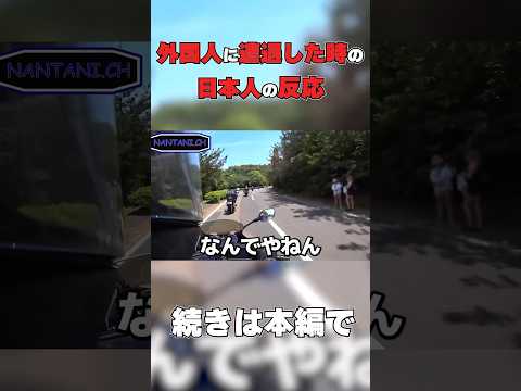 ツーリング中に突然現れた…  #shorts  #short #motovlog #モトブログ #バイク  #ツーリング #shortvideo